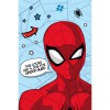 Κουβέρτα Flannel Spiderman Job 100x150εκ. Κουβέρτα Flannel Spiderman Job 100x150εκ.